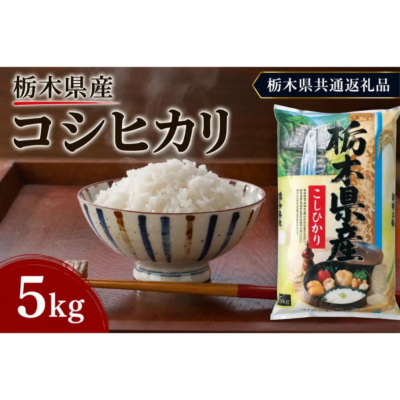 栃木県産 お米 白米 こしひかり 5kg | 栃木県 矢板市　栃木県共通返礼品