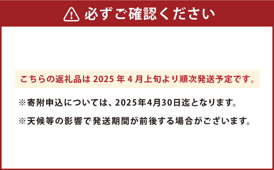 こだわり サラダ玉ねぎ 合計 8kg