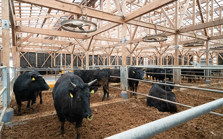 F10　宍粟牛贅沢セット【梅】