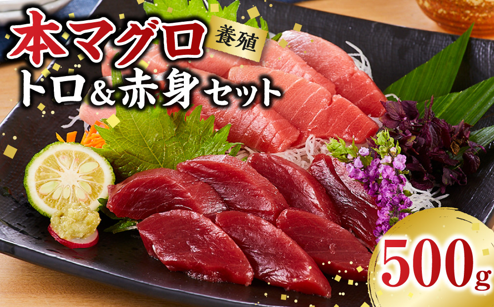 本マグロ（養殖）トロ＆赤身セット　500g［KS12］ 304018_CG1002