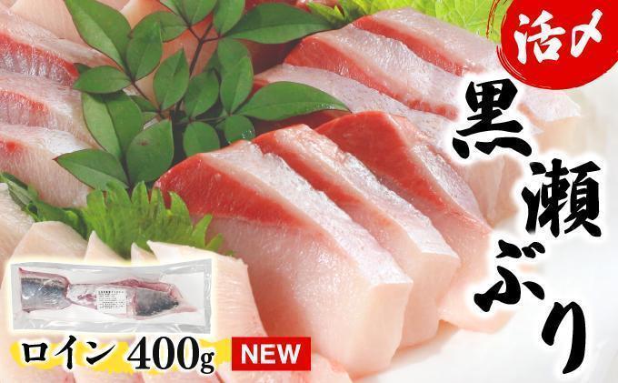 ＜2026年6月発送分＞活じめ！黒瀬ぶりの生鮮ブリロイン2節～3節（400g前後）_K001-008-2606