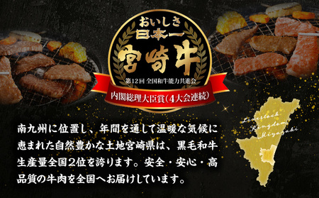 牛肉 赤身 牛肉[宮崎牛 モモ 焼肉 700g]