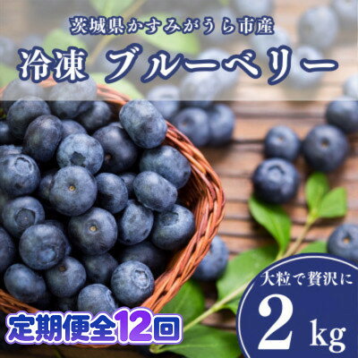 【ふるさと納税】【毎月定期便】冷凍ブルーベリー2kg(500g×4パック)全12回【配送不可地域：離島】【4092943】