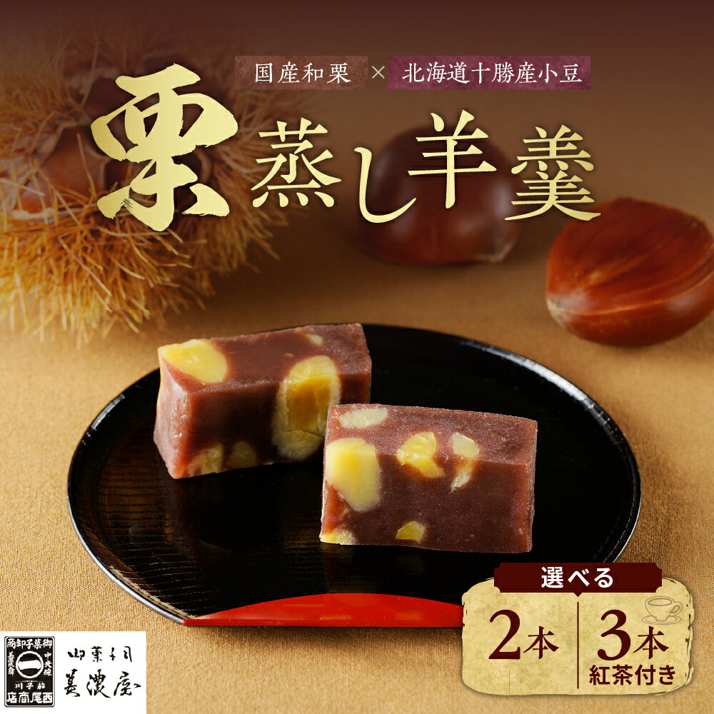 【ふるさと納税】栗蒸し 羊羹 2本 or 3本 紅茶 セット【御菓子司 美濃屋】栗羊羹 くりようかん くりむしようかん 栗蒸羊羹 羊かん 国産 栗 和栗 人気 お菓子 和菓子 栗菓子 ギフト プレゼント 手土産 お取り寄せ グルメ みのや 送料無料 秋 旬 F4N-0995var