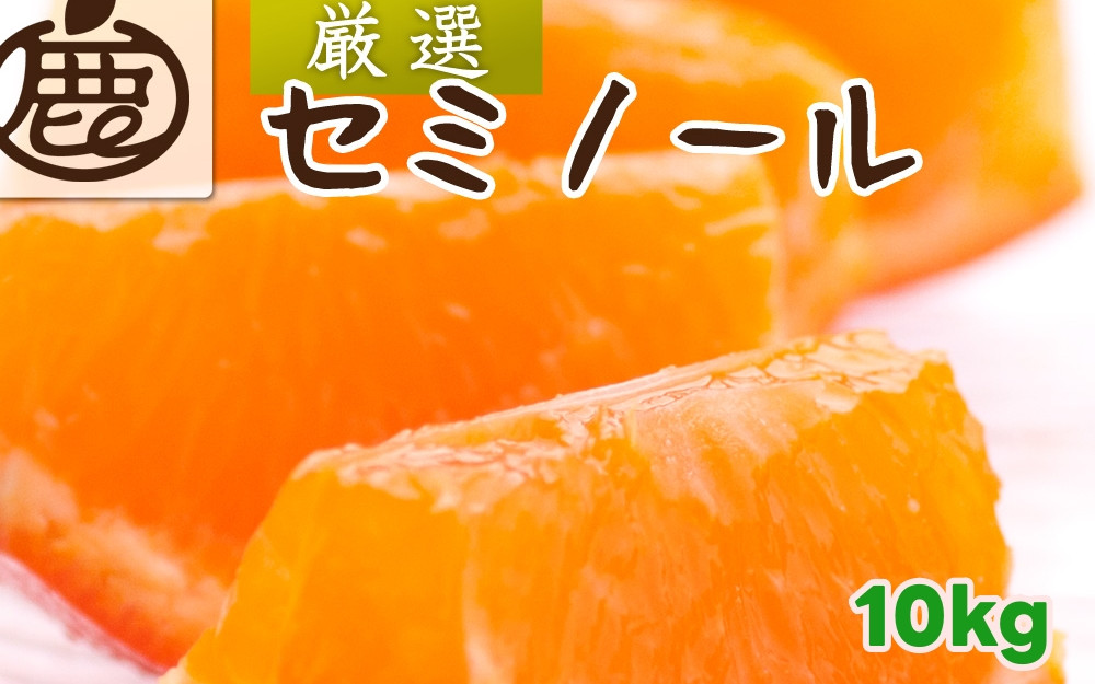 
            セミノール オレンジ 厳選 10kg+250g（痛み補償分） 光センサー / みかん 甘い 高級 柑橘 晩柑 和歌山 有田 ※4月上旬～6月下旬ごろに順次発送 ※北海道・沖縄・離島への配送不可 【ikd016-p-10】
          