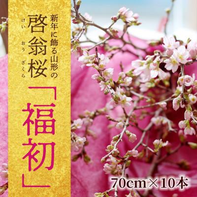 ふるさと納税 酒田市 『福初』 新年に飾る山形の桜!酒田市の高橋さんの啓翁桜 70cm (年末発送)