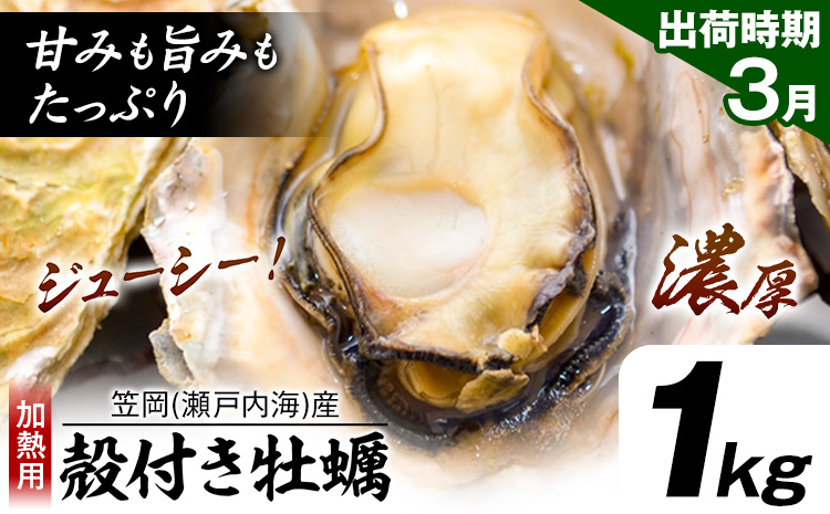牡蠣事業者応援！ 笠岡産 (瀬戸内海産) 殻付き牡蠣 (加熱用) 1kg《3月上旬-3月末頃出荷》岡山県 笠岡市 かき カキ 牡蠣 生牡蠣 瀬戸内海産 殻付き