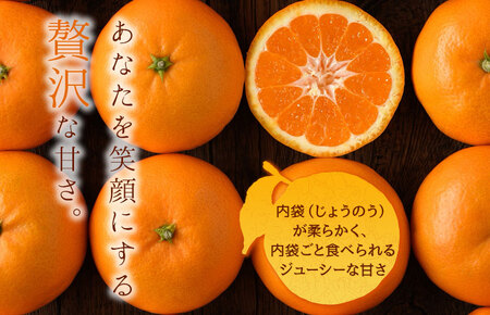 【先行予約】瀬戸の晴れ姫4kg [KC01230] 2026年12月中旬～2027年1月中旬に順次発送予定 愛媛県産 愛媛県 期間限定 はれひめ 果物ふるさと 愛媛みかん 甘いみかん 果物 故郷納税フ