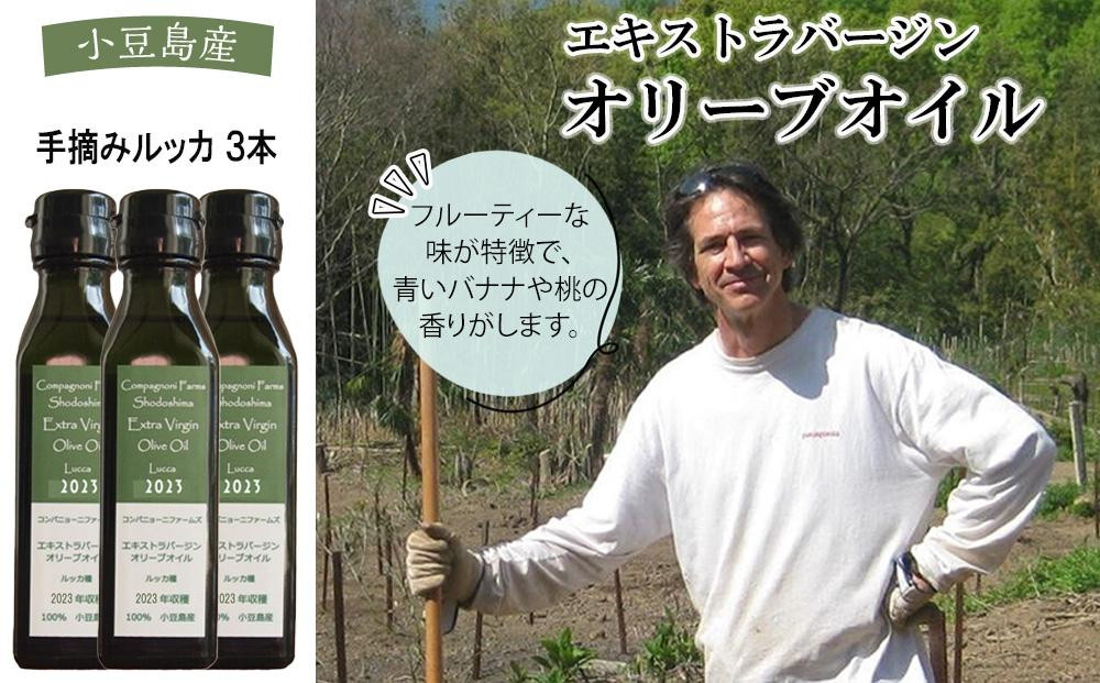 
            【ジェイさんのオリーブオイル】《ルッカ種》3本セット コンパニョーニファームズ エキストラバージンオイル 2024年収穫 100％小豆島産 手摘み
          