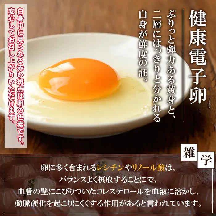 【お中元】たまご　80個（10個×8P）　健康電子たまご　(内10個 宅配破損時 保証卵付) 【00-095-01-R8OC】