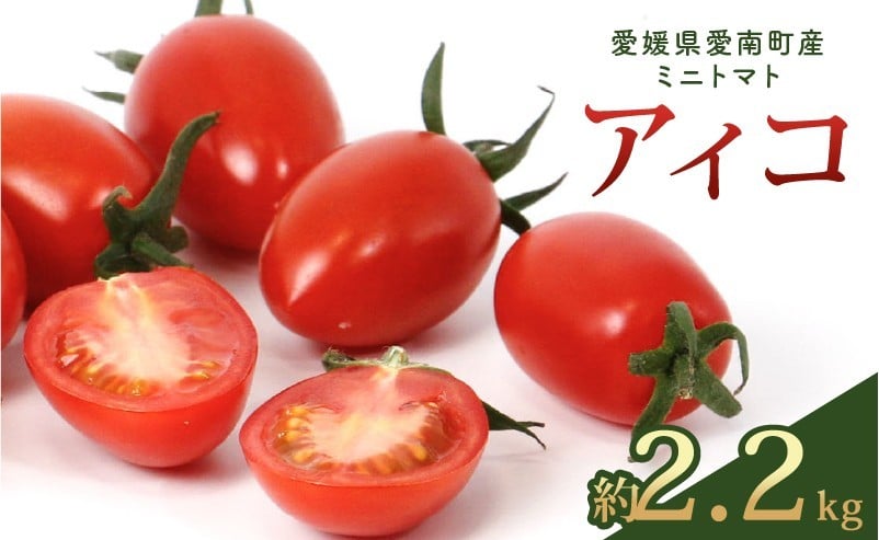 
                  アイコ 約2.2kg 大瀧農園 トマト 完熟トマト 野菜 産地 直送 人気 国産 愛媛県 愛南町 発送期間：2026年3月1日～7月頃まで（※なくなり次第終了）
                