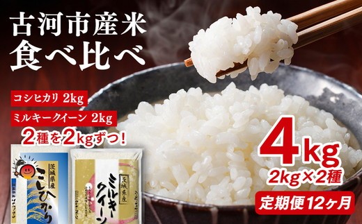 
                  【定期便 12か月】令和7年産 古河市のお米食べ比べ コシヒカリ・ミルキークイーン 2kg×2種類｜米 コメ こめ ごはん ご飯 ゴハン 白飯 単一米 国産 コシヒカリ こしひかり ミルキークイーン 食べ比べ 2kg×2 4kg 定期便 12ヶ月 12回 1年 茨城県_DP51
                
