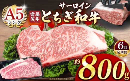 【定期便6回】宮福笑牛(とちぎ和牛) A5 サーロインステーキ 約200gx4枚  | 牛肉 和牛 ステーキ  定期便 サーロイン ステーキ ステーキ用 旨味 美味しい 肉 お肉  栃木県共通返礼品（栃木県産） 栃木県 真岡市