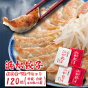 【ふるさと納税】浜松餃子 120粒 2種味くらべ（定番の味60粒、スタミナ60粒）総重量2.4kg！　【 浜松市 】