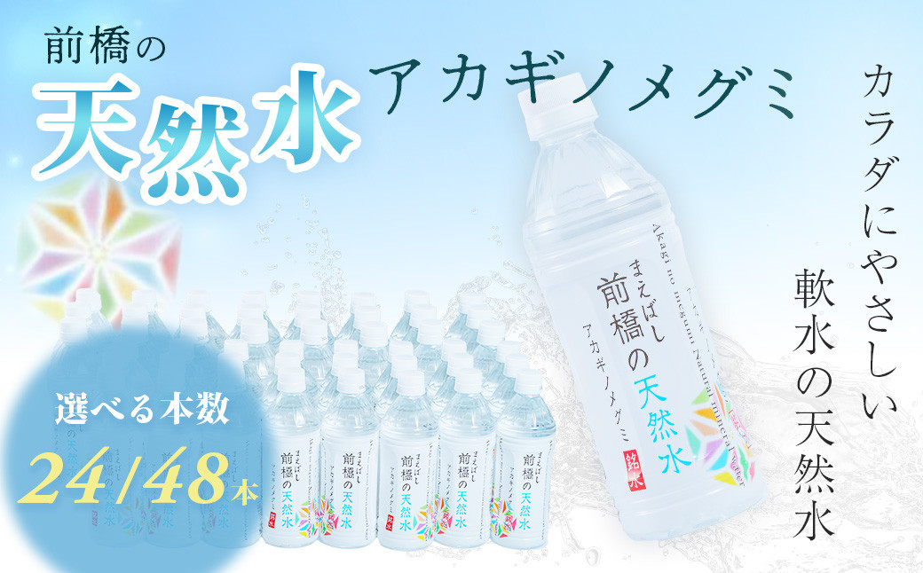 
            【選べる本数】水 ミネラルウォーター 500ml 24本×1箱 計24本 24本×2箱 計48本 | 飲料水 みず ナチュラル ミネラルウォーター 天然水 軟水 長期保存 備蓄 防災  水 ミネラルウォーター ペットボトル 長期保存水 備蓄水 地震 風水害 非常災害備蓄用 災害用 避難用品 防災グッズ 国産 群馬県 前橋市
          