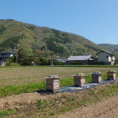 ふるさと納税 能勢町 【RAW HONEY】風味いろいろ!季節のはちみつ4種セット(50g×4本)-純粋・非加熱・国産- |  | 01