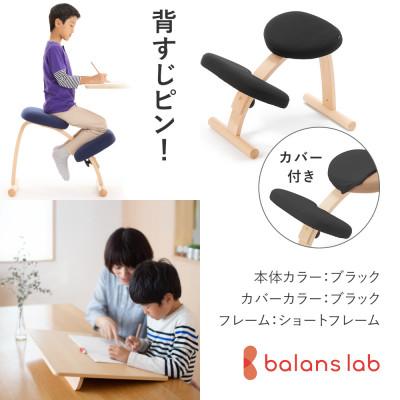 ふるさと納税 美濃市 バランスイージー ショート[ブラック]カバー付+イージーライティングボードL【複数個口で配送】