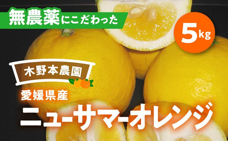 
【栽培期間中農薬不使用】【先行受付】【数量限定】農園直送！愛媛県産ニューサマーオレンジ 5kg ｜ 柑橘 みかん ミカン 蜜柑 フルーツ 果物 ギフト 贈り物 栽培期間 無農薬 愛媛県産　※2025年4月下旬頃より順次発送予定
