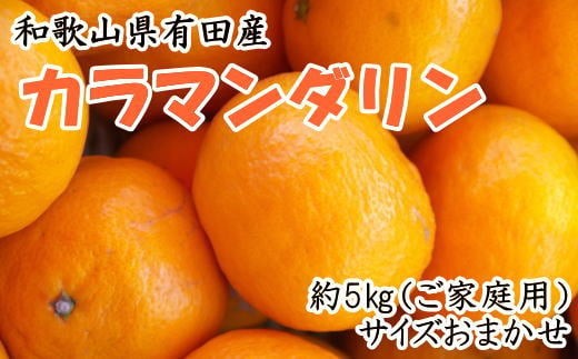 
                  【春みかん】 和歌山県 有田産 カラマンダリン 約5kg 家庭用(サイズおまかせ)【tec015-c-5】
                