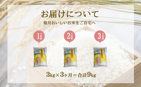 【3ヶ月定期便】新米 令和6年産 えびの産 ひのひかり 3kg×3ヶ月 合計 9kg お米 精米 白米 ご飯 特選米 国産  宮崎県産 九州産 送料無料 こめ おにぎり お弁当