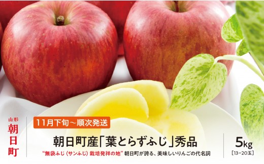 ＜ 先行予約 ＞ りんご 葉取らず ふじ 秀品 約 5kg 13～20玉 【2026年11月下旬から12月下旬発送】 山形県 朝日町産 山形県産 果物 フルーツ リンゴ 林檎 秋 冬