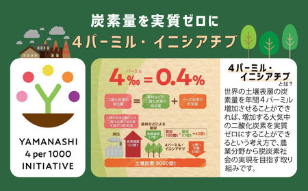 【2026年先行予約】ご家庭用つぶつぶ　シャインマスカット（約1.5kg）｜高糖度 種なし 甘い フルーツ 果物 葡萄 ブドウ ぶどう 産地直送 送料無料 山梨 都留市