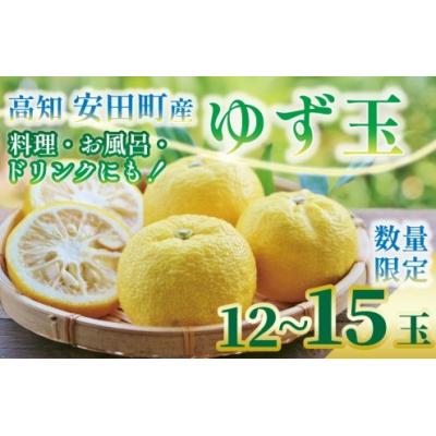 ふるさと納税 安田町 ゆず玉(安田町産)柚子　12〜15玉