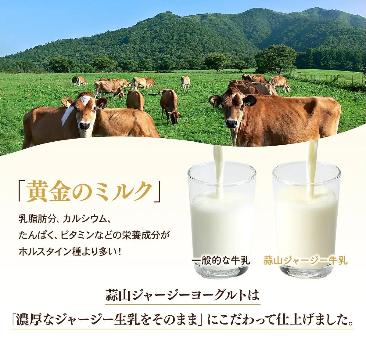 ヨーグルト 蒜山ジャージーヨーグルト10個 スイーツ 【hiru024-01】