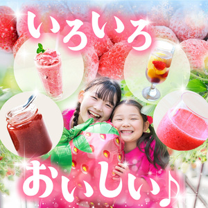 【栃木県共通返礼品】【定期便6回】冷凍いちご 2kg | いちご とちあいか 冷凍 冷凍イチゴ スイーツ ジャム スムージー たっぷり 大粒  甘い 美味しい 果物 デザート 栃木県 那珂川町 送料無