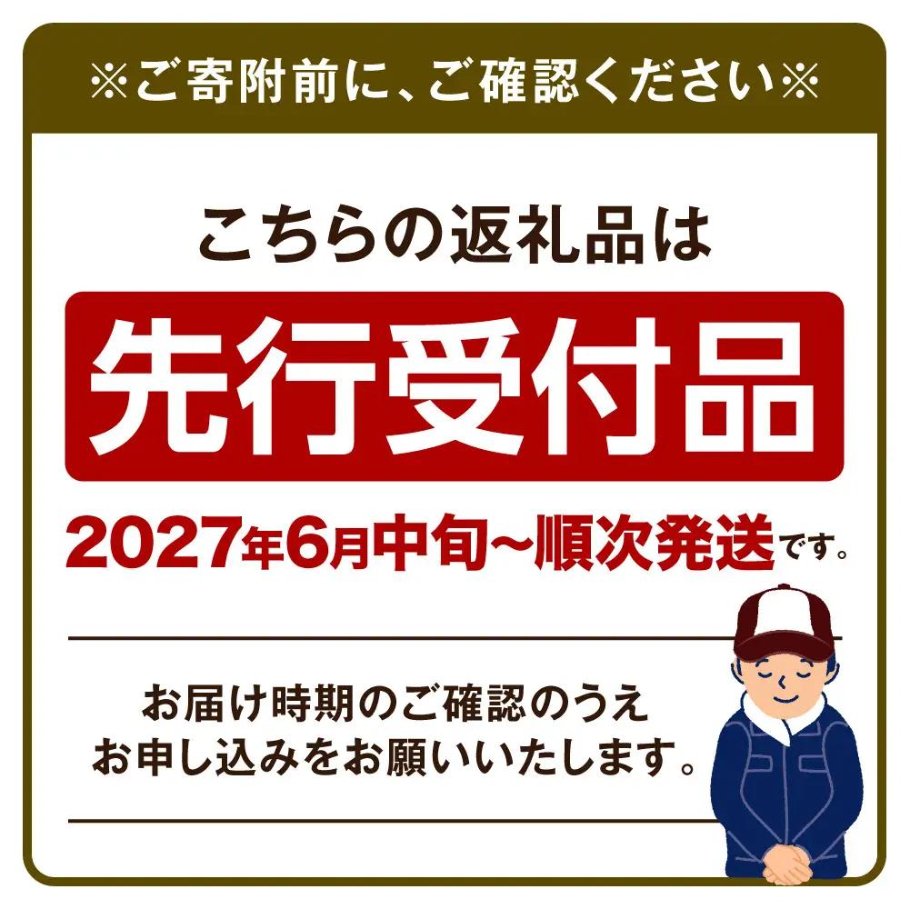 【令和9年度産先行受付】生にんにく（福地ホワイト六片種）1kg にんにく