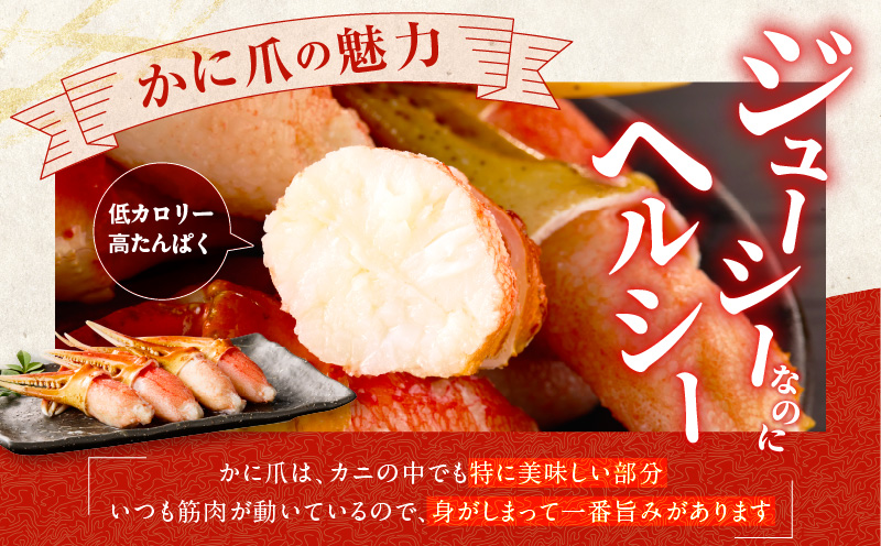 ボイル 本ズワイ蟹 爪肉 500g カット済み（2-3人前）