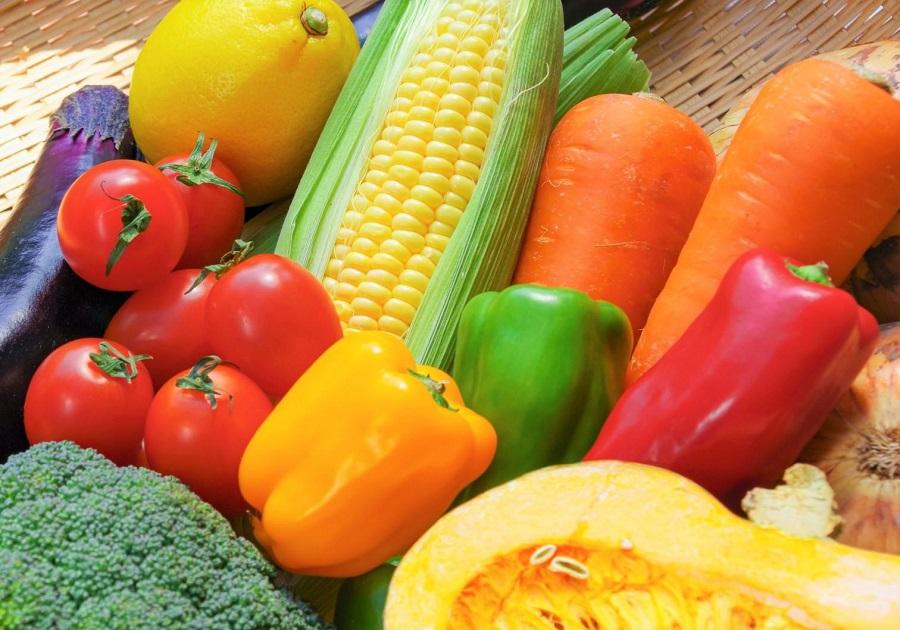 【定期便3回】野菜ソムリエの選ぶ旬のお野菜と果物セット