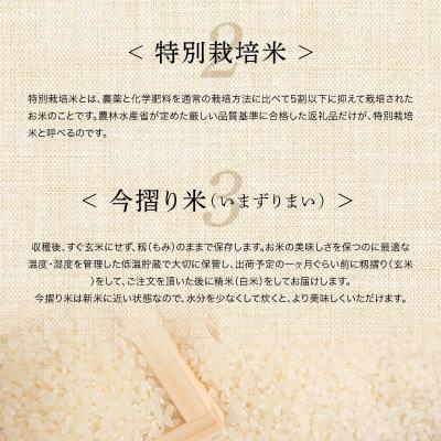 ふるさと納税 南幌町 【定期便3カ月】北海道産 特別栽培米 ゆめぴりか 白米 5kg×2袋(10kg) 1月発送開始 |  | 03