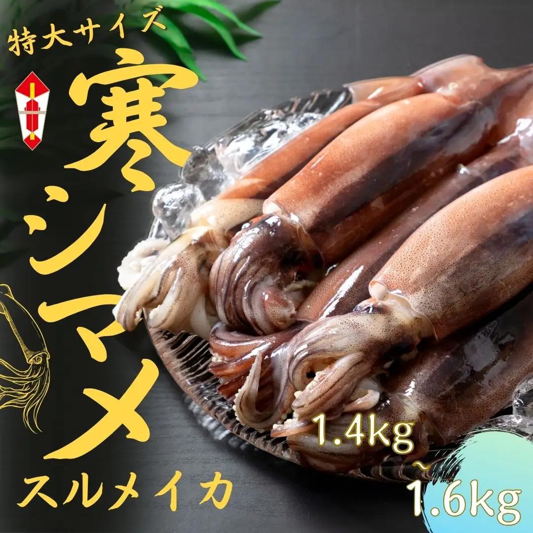 スルメイカ 特大サイズ 4～5杯（1.4kg-1.6kg） イカ