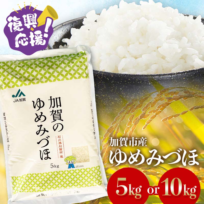 【ふるさと納税】＼数量限定／ 生活応援米 ゆめみづほ 5kg 10kg 精米 令和8年産 銘柄米 お米 米 ギフト 贈り物 グルメ 食品 F6P-2396var