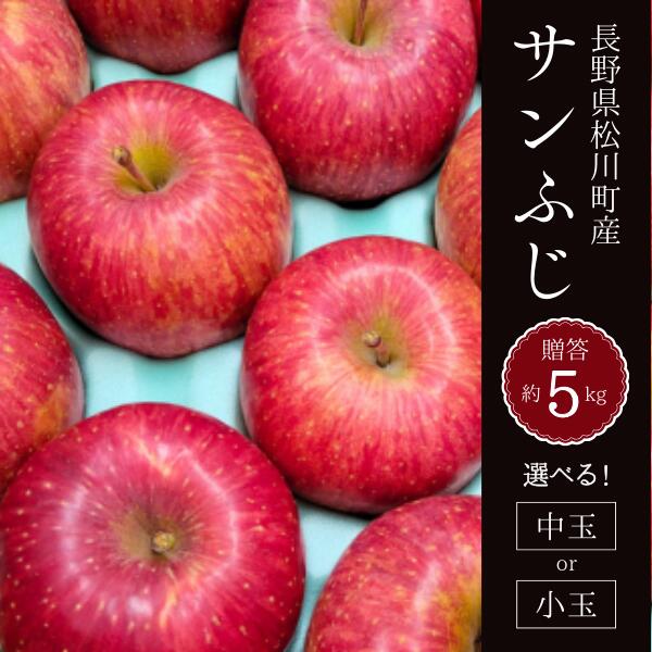 【ふるさと納税】りんご サンふじ 贈答 中玉 or 小玉 約5kg / 11月下旬頃～配送予定 // 長野県 松川町 南信州 KR15 KR16