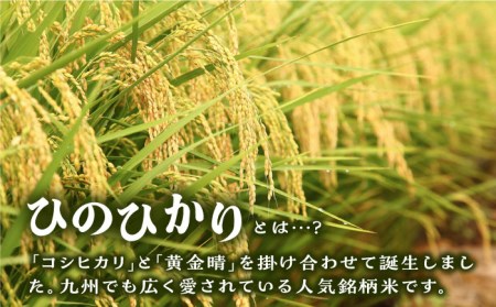 ＼ 令和5年産 ／ 糸島産 ひのひかり 5kg 糸島市 / 三島商店 米 お米 ご飯 白米 ヒノヒカリ ひのひかり 九州 福岡 [AIM003]