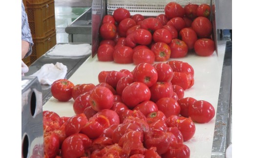 完熟した赤い部分をジュースにしています。