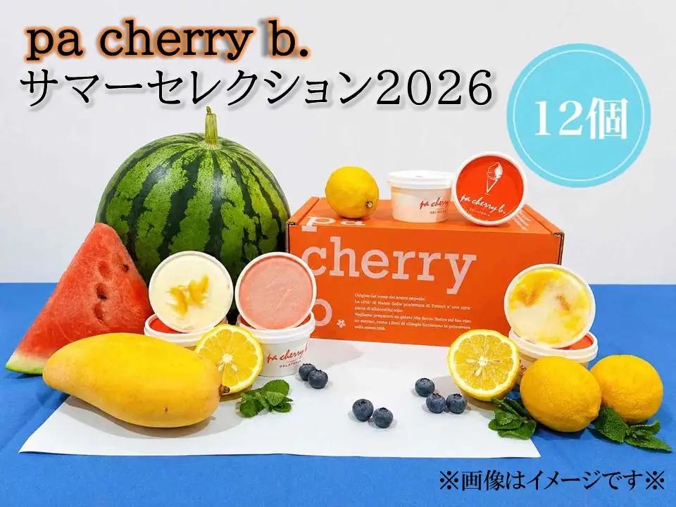 ＜7月・8月限定出荷＞pa cherry b．サマーセレクション2026オリジナルジェラート12個セット　鳥取県南部町【PB06S】