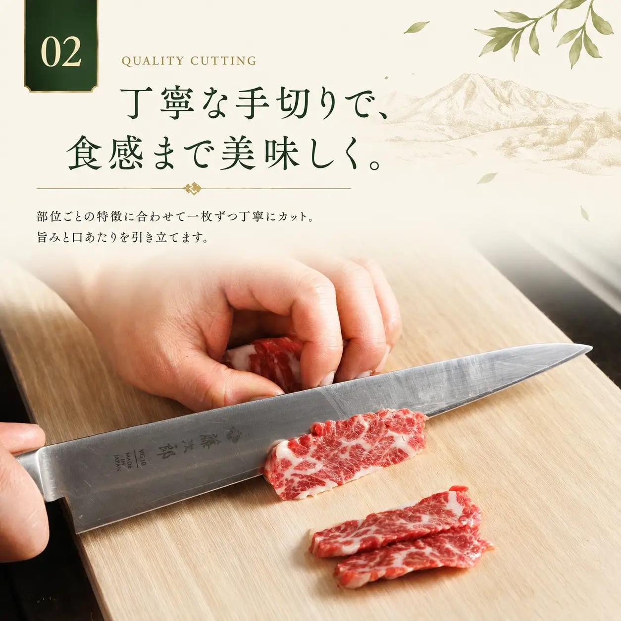 海外産 馬刺し 赤身 1000g（100g×10p） 馬刺しの長野屋【017-31】