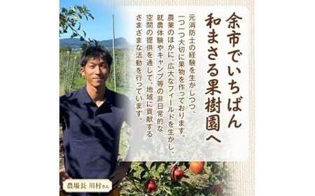 余市町 ナイアガラワイン 2023 750ml×1本 Verger Nobori 1976 辛口白ワイン 余市町登町 マスカットの香り ナイアガラ ワイン 白ワイン 北海道 送料無料_Y103-003