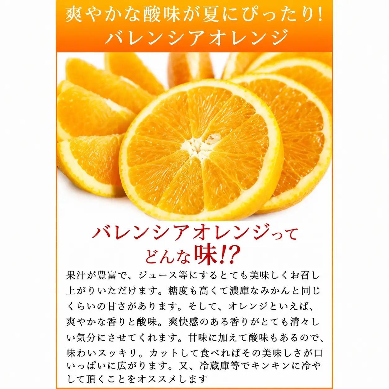 秀品　希少な国産バレンシアオレンジ　2.5kg　※2026年6月下旬頃～2026年7月上旬頃 順次発送（お届け日指定不可）【uot752】