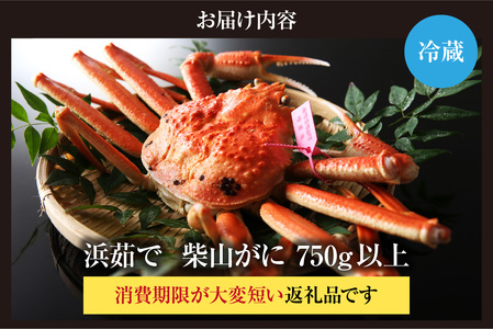 【先行予約】【カネニの浜茹で柴山がに 750g以上】令和7年11月以降、水揚げ次第順次発送予定 冷蔵 高級 ふるさと納税 かにすき 焼きガニ カニ ボイル 兵庫県 香美町 香住 柴山 カネニ 06-2