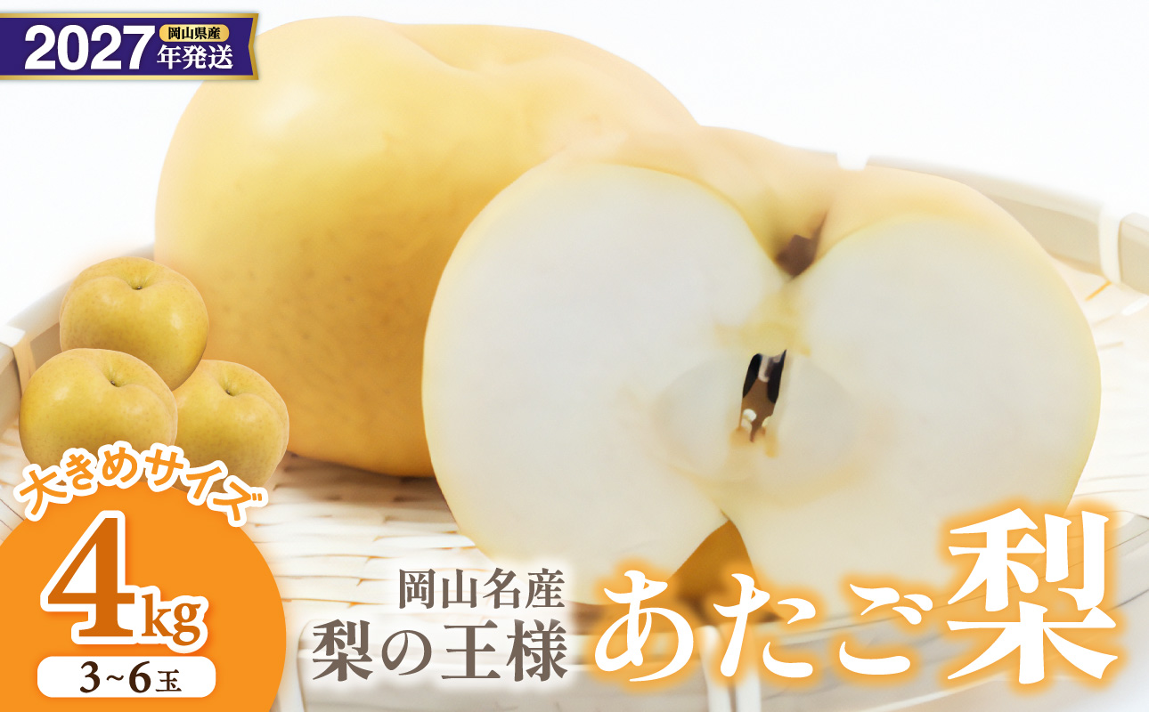 【2027年発送分・先行予約開始！】岡山名産 あたご梨 　秀品　約4kg（3～6玉）（令和9年11月下旬以降発送）【梨】 2027年発送 約4kg