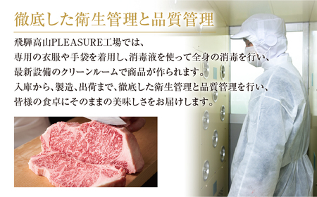 《定期便》全3回 飛騨牛 サーロインステーキ 肉 飛騨高山ミート 肉 [MZ109]