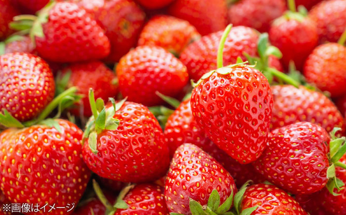 【化粧箱入】あまおう大福 8個 50g×8個(計400g) 吉富町/株式会社博多漁師の里 [BGAE047] 福岡県 和菓子 スイーツ おやつ フルーツ大福 くだもの 果物 大福 イチゴ大福 いちご 