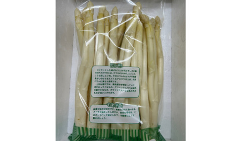 「数量限定訳あり品」希少なホワイトアスパラ 700g【配送不可地域：離島】（2026年4月10日以降発送）【配送不可地域：離島】 BHRG066