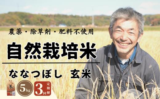 ＜令和6年産新米＞3ヵ月間毎月届く！自然栽培米「角田玄米」 5kg定期便