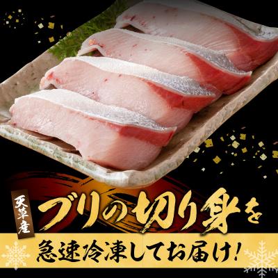 ふるさと納税 天草市 ブリ切り落とし(皮付)約900g_S010-078