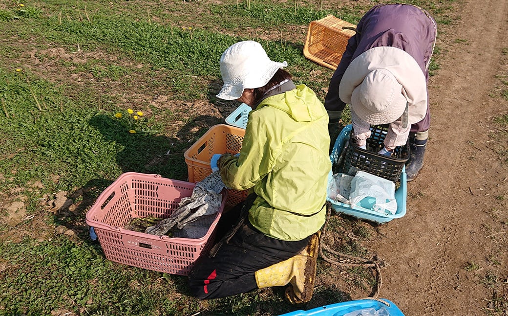 グリーンアスパラ 露地栽培 2L（約1kg相当）【2025年5月下旬～6月上旬発送予定】